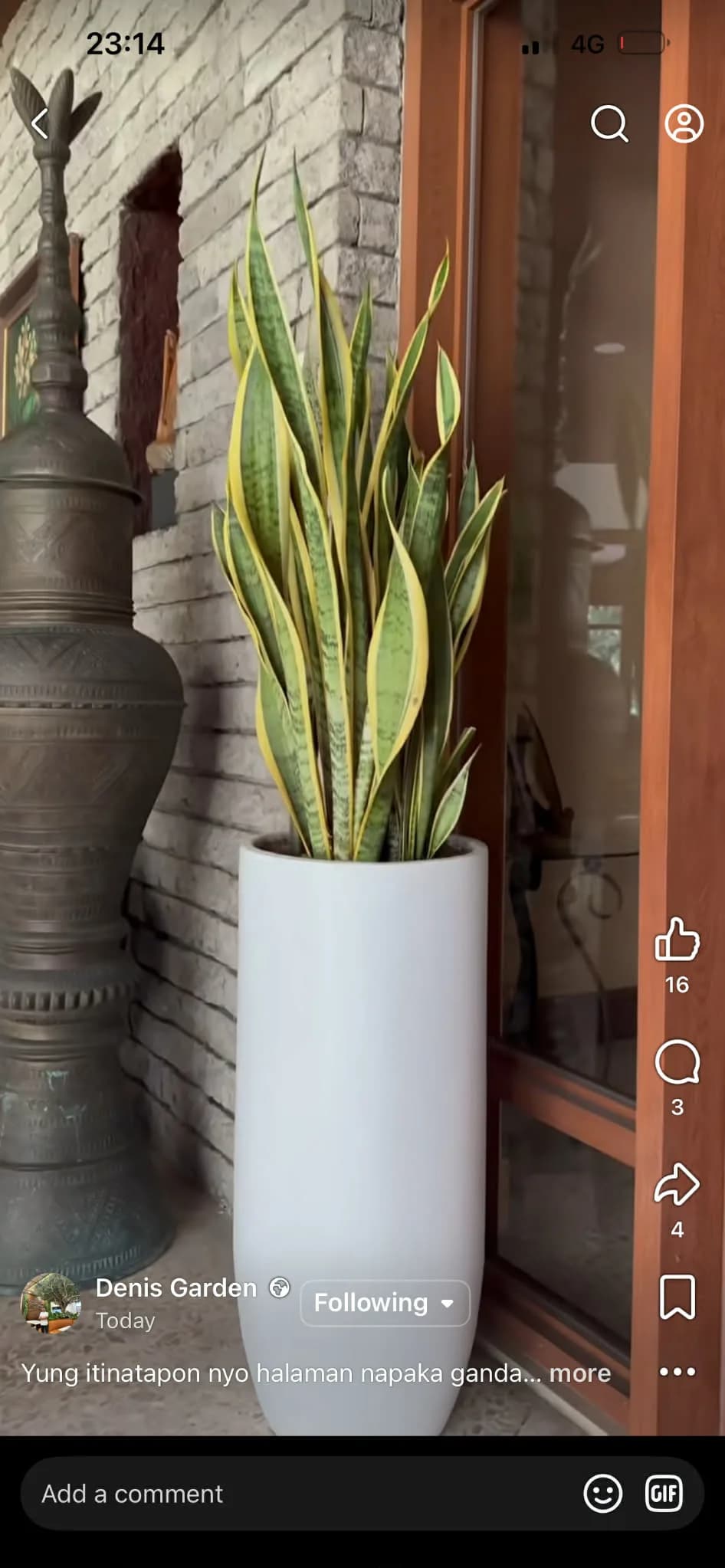 Aesthetic Cemented Pots